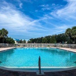 a swimming pool with trees
