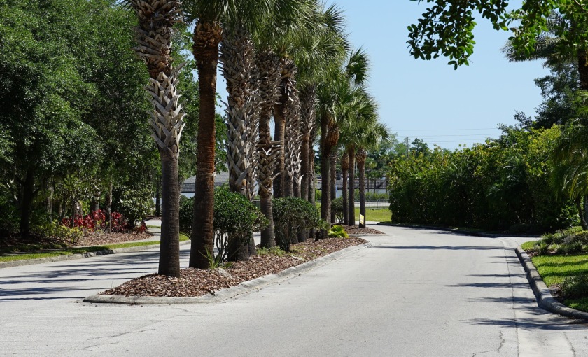Resort-like grounds at Heritage Key Villas