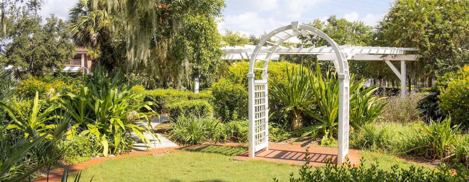a white arch in a garden
